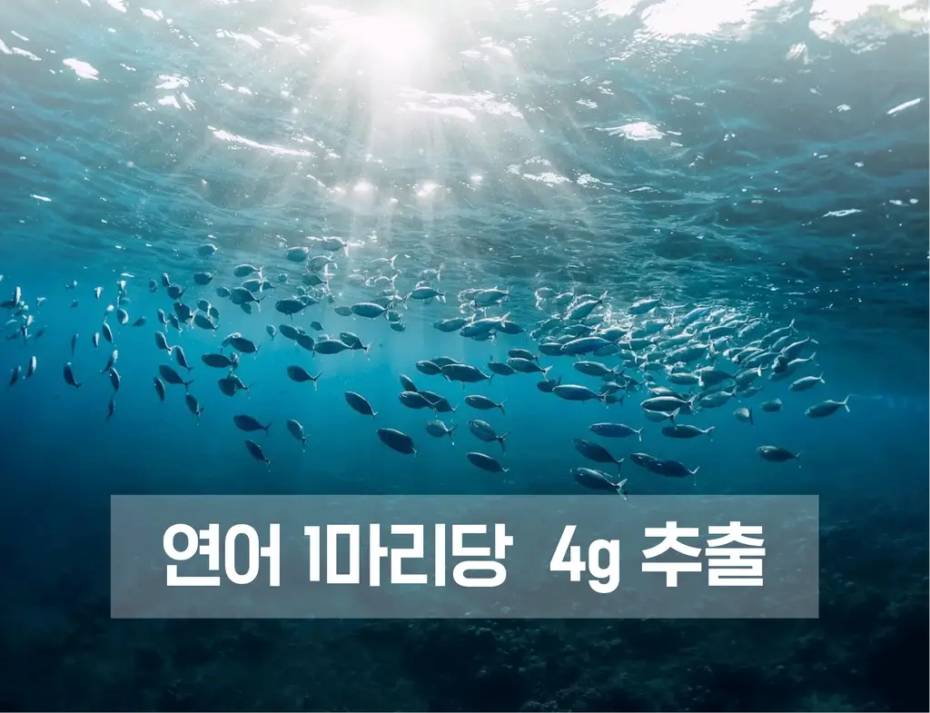 [먹는 리쥬란 PDRN 젤리] 리쥬란 이너닷 DNA 글로우 젤리 14포 (14일분) 상세페이지 10
